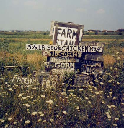 Produce Stand Sign, from Changing Chicago